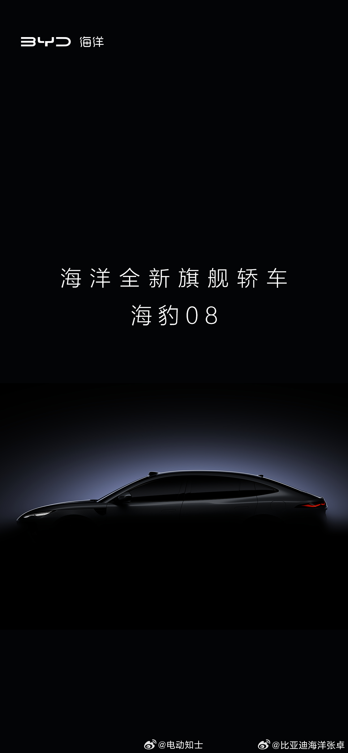 比亚迪海洋网8系双旗舰定名海豹08与海狮08，明年一季度亮相