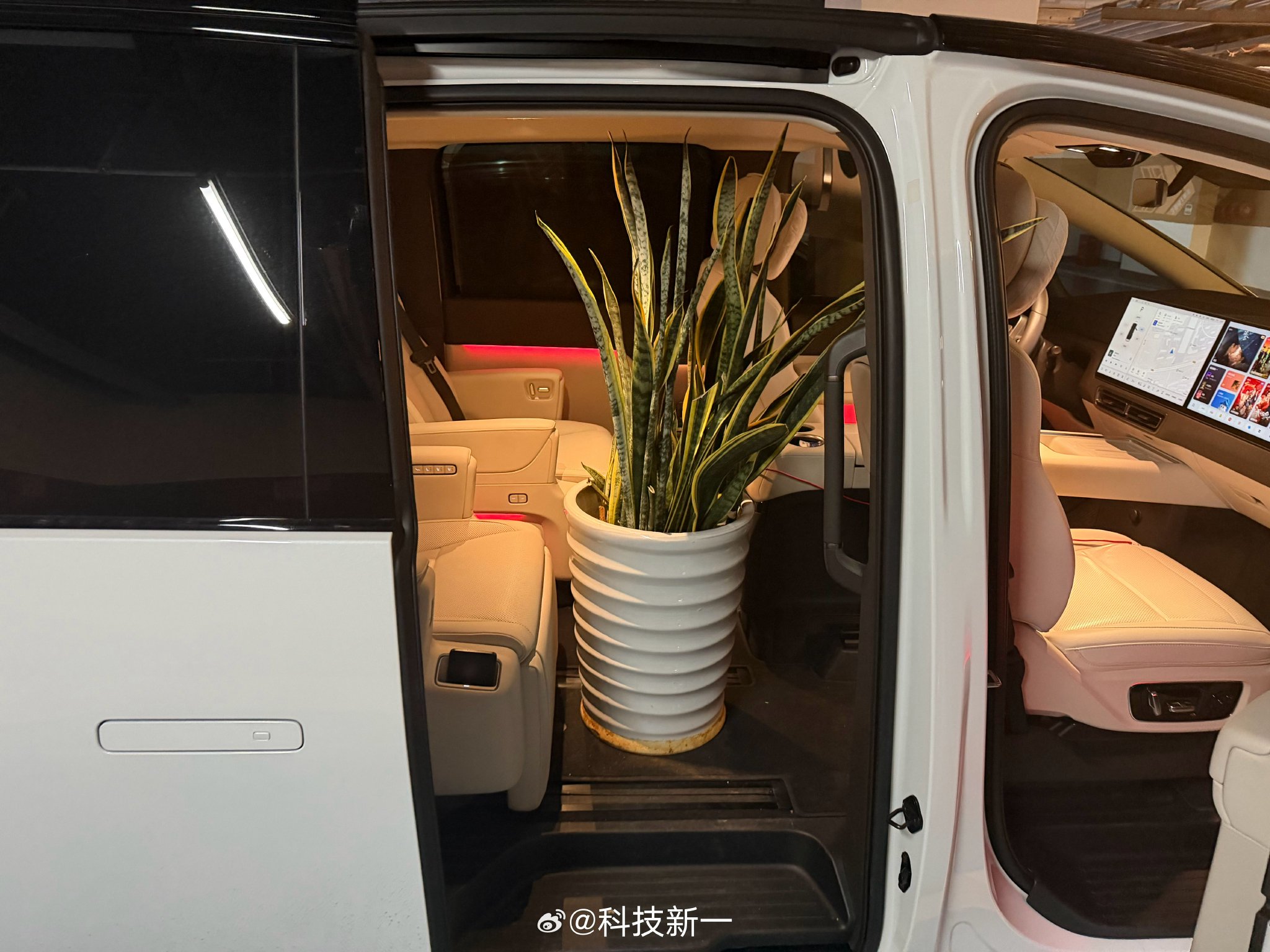 理想MEGA被车主当货车用，超大花盆轻松装载