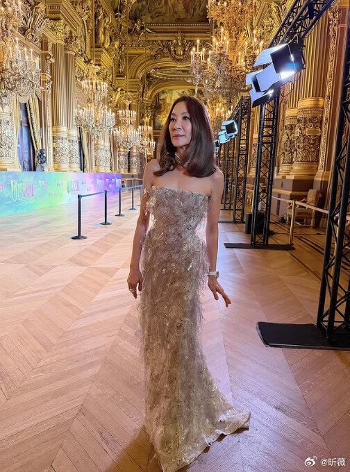 杨紫琼三套红毯造型展现独特魅力