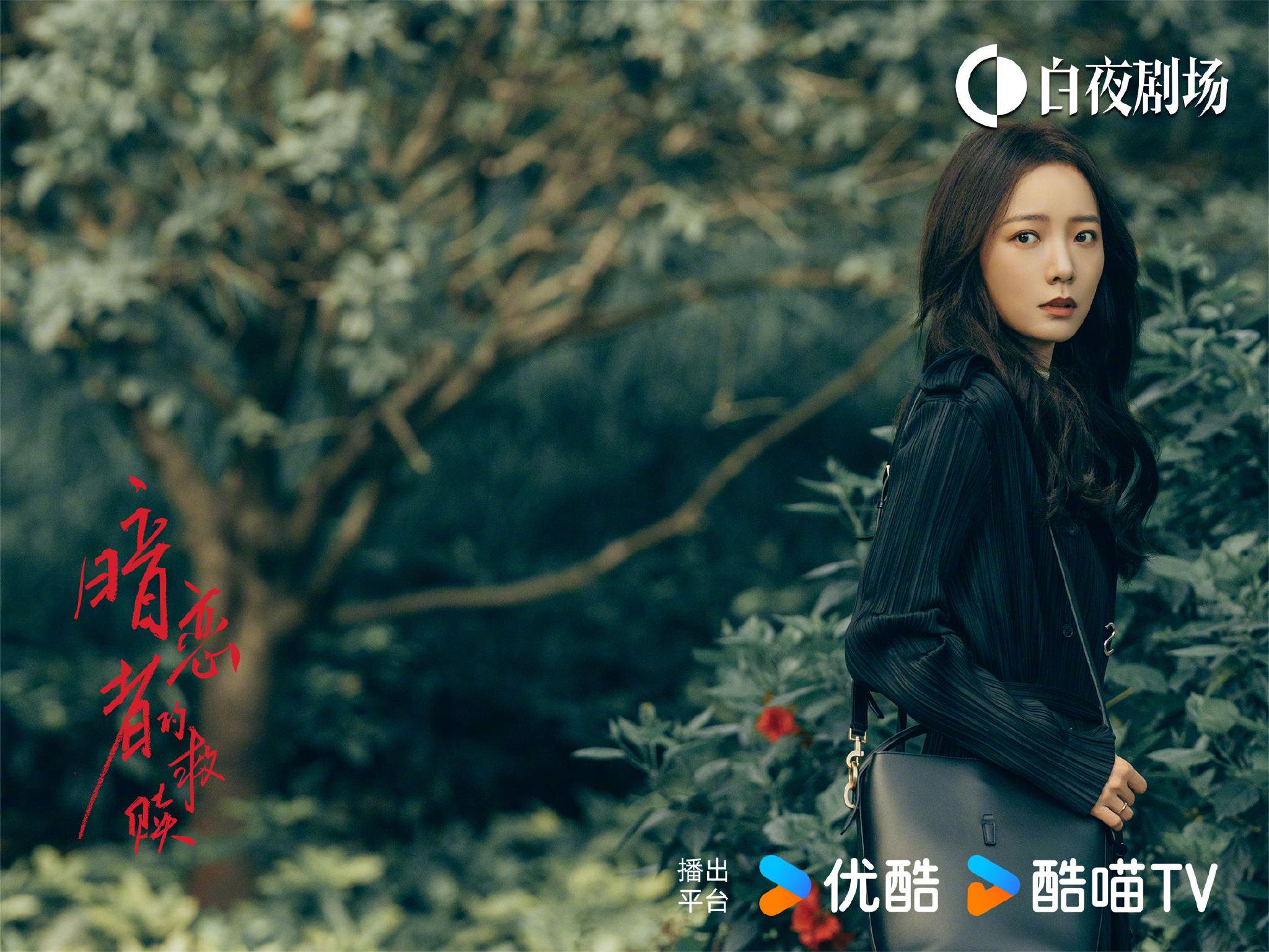 王珞丹袁弘黄宗泽主演悬疑剧优酷热播