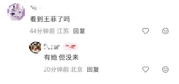 王菲确认亮相马年央视春晚