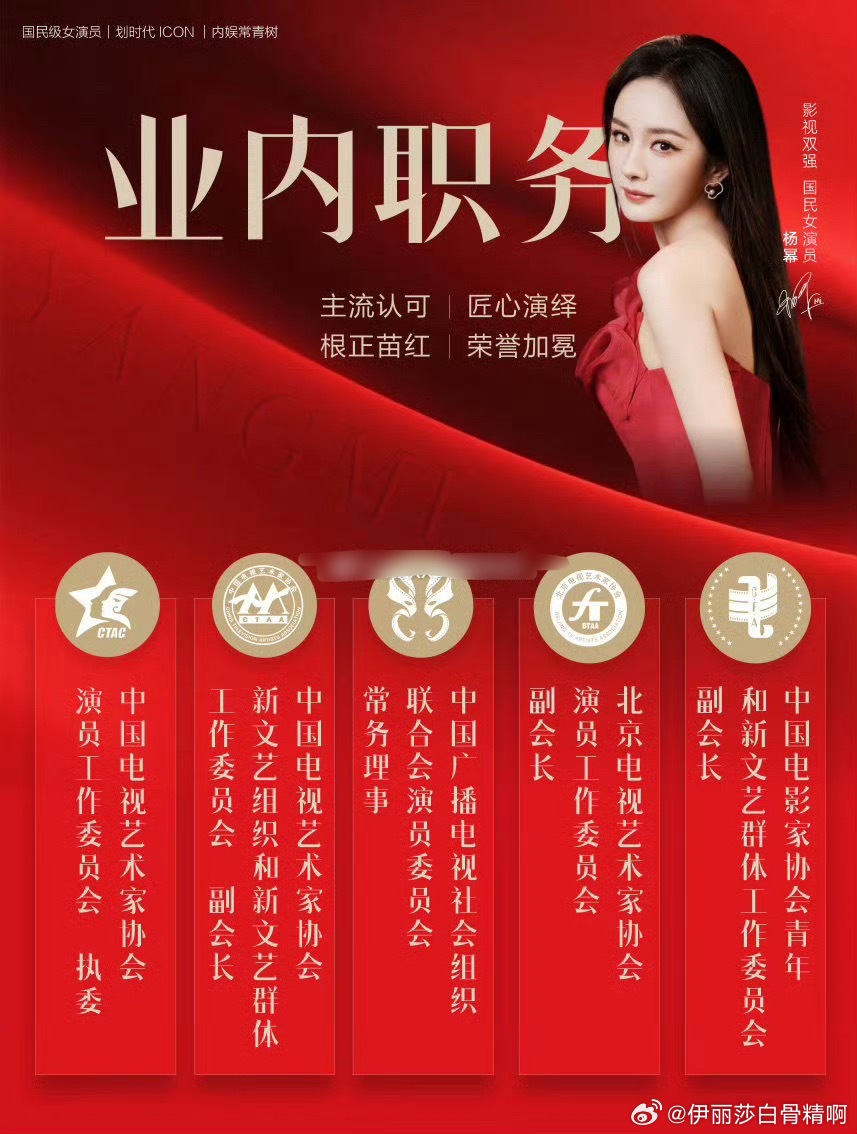 杨幂任中国视协新文艺组织工作委员会副会长