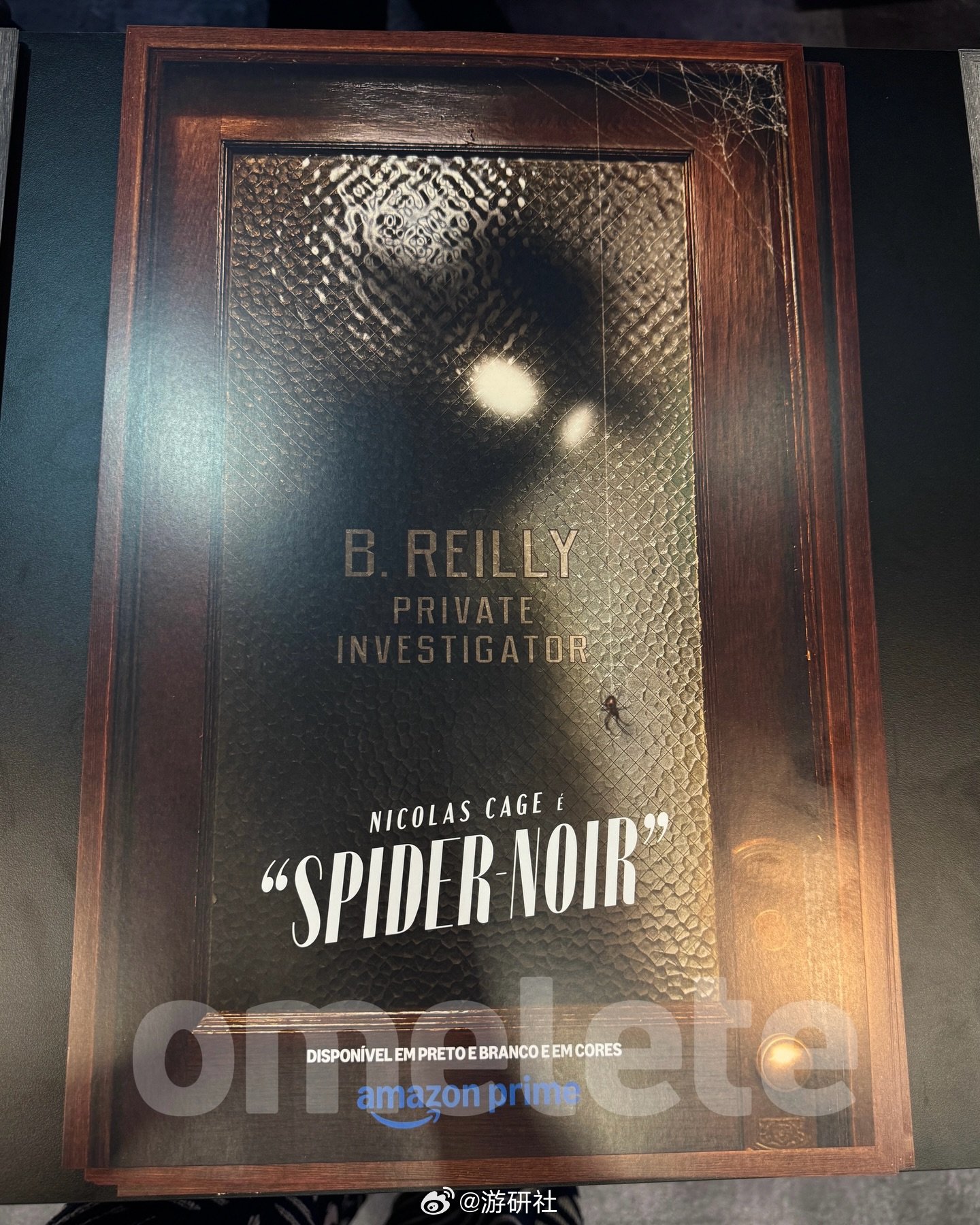 尼古拉斯·凯奇主演《暗影蜘蛛侠》2026年上线，提供黑白彩色双版本