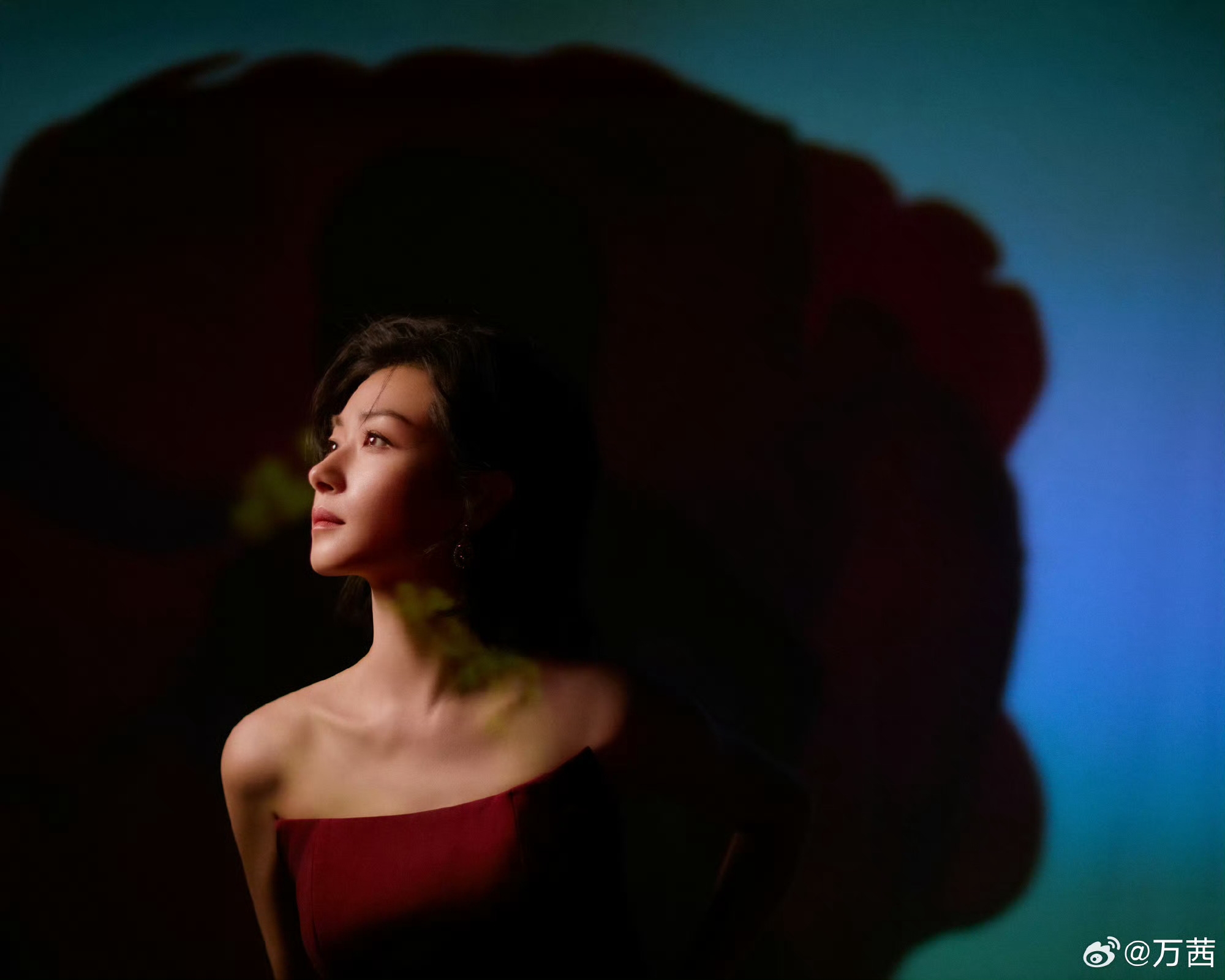 宋轶万茜双女主新剧引期待