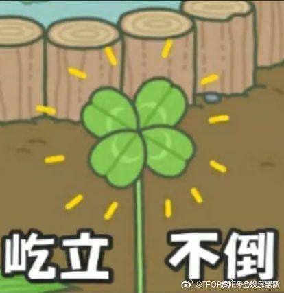 杨迪曝易烊千玺王俊凯王源三人深厚情谊