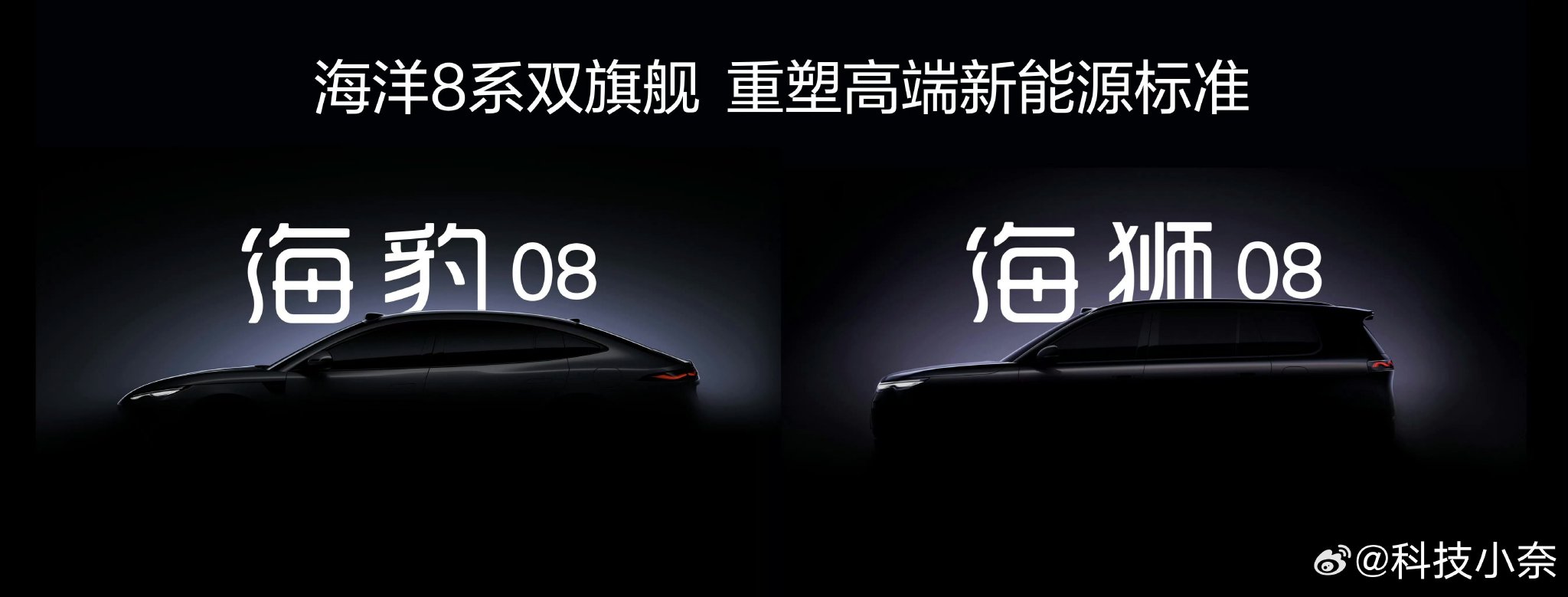 比亚迪2026年将推海豹08轿跑和海狮08两款新车