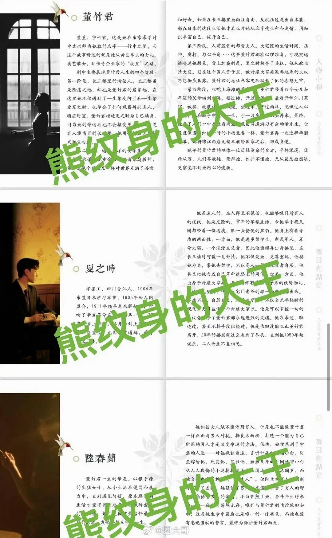 杨紫杨幂赵丽颖刘亦菲新剧故事梗概曝光