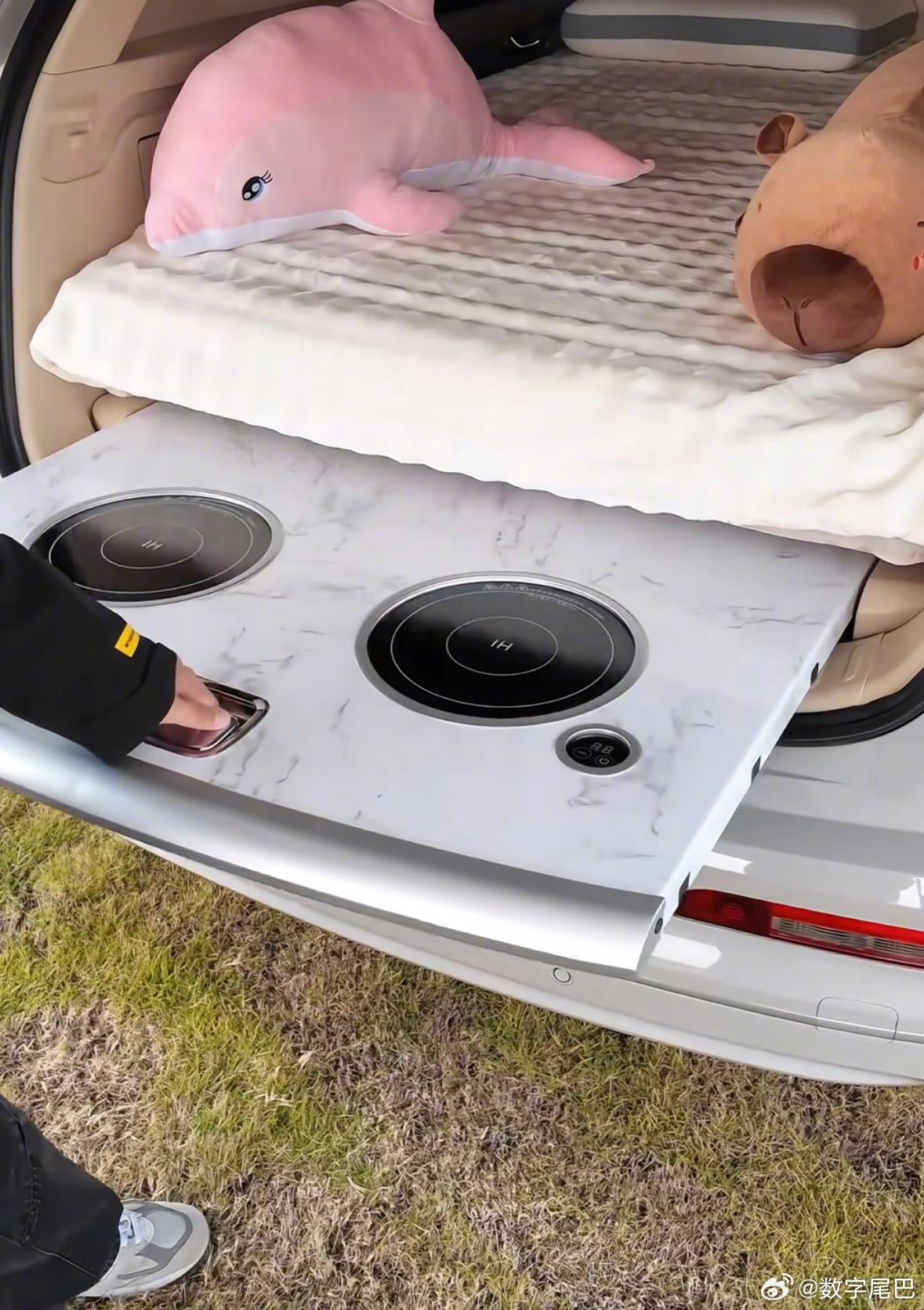 蓝电E5 PLUS车尾箱配电磁炉炒菜套件引热议