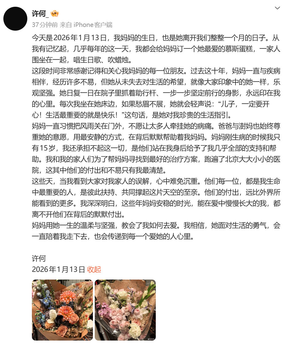何晴儿子发文缅怀母亲，透露许亚军张澍默默相助