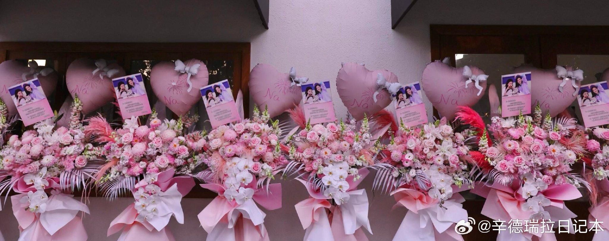 孙怡送花篮祝贺谢娜演唱会