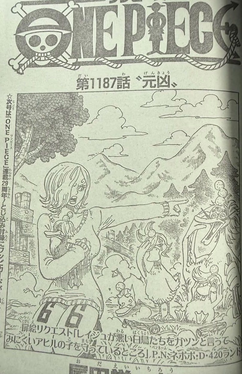 海贼王1187话情报图：蕾玖保护山治