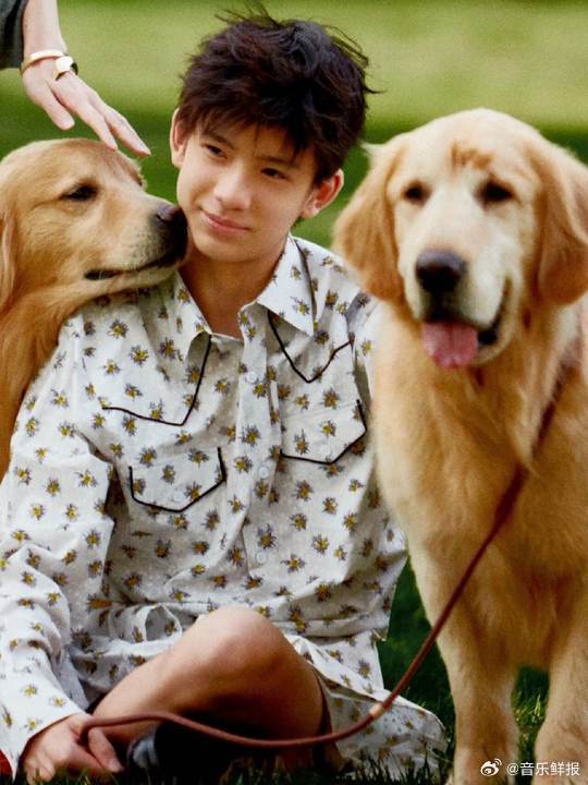 董洁潘粤明儿子顶顶近照曝光，继承父母高颜值