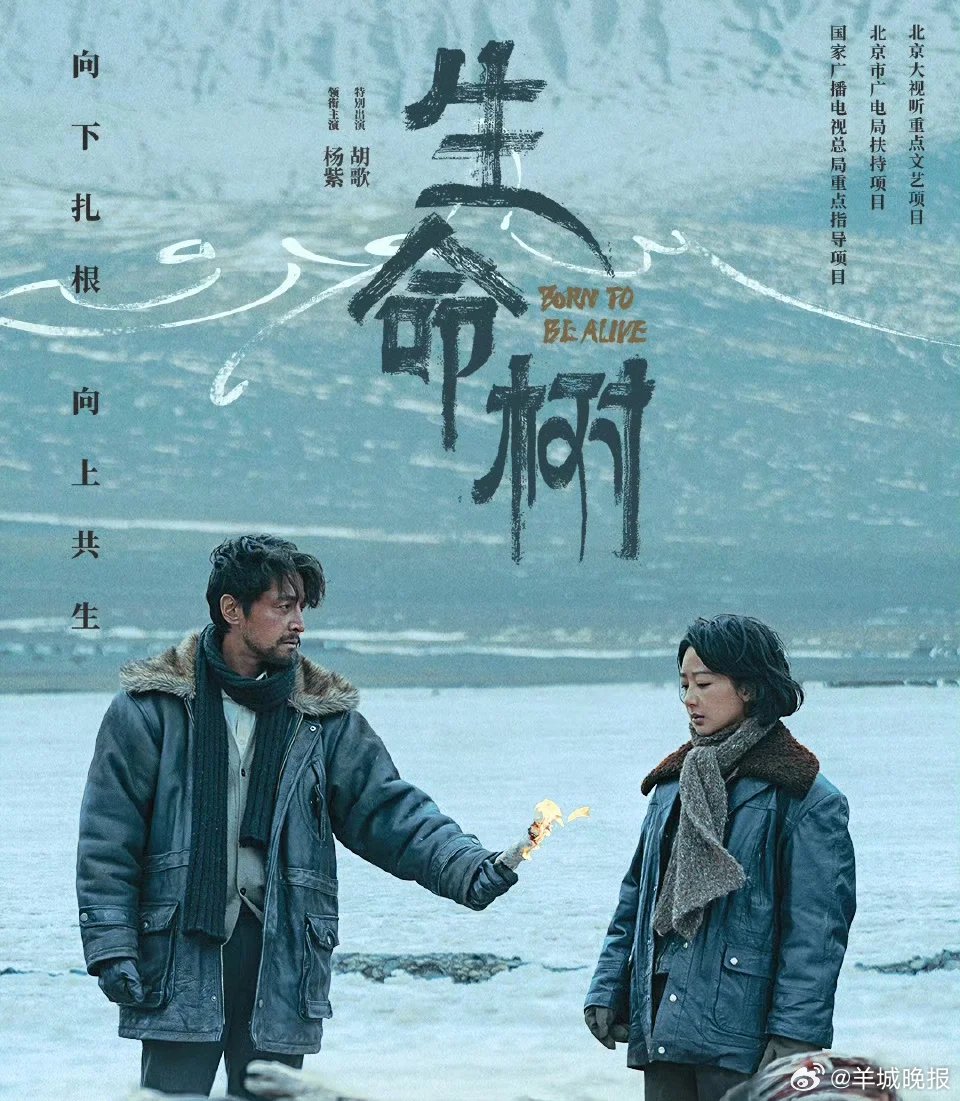 杨紫胡歌肖战等主演影视剧雪景场面盘点