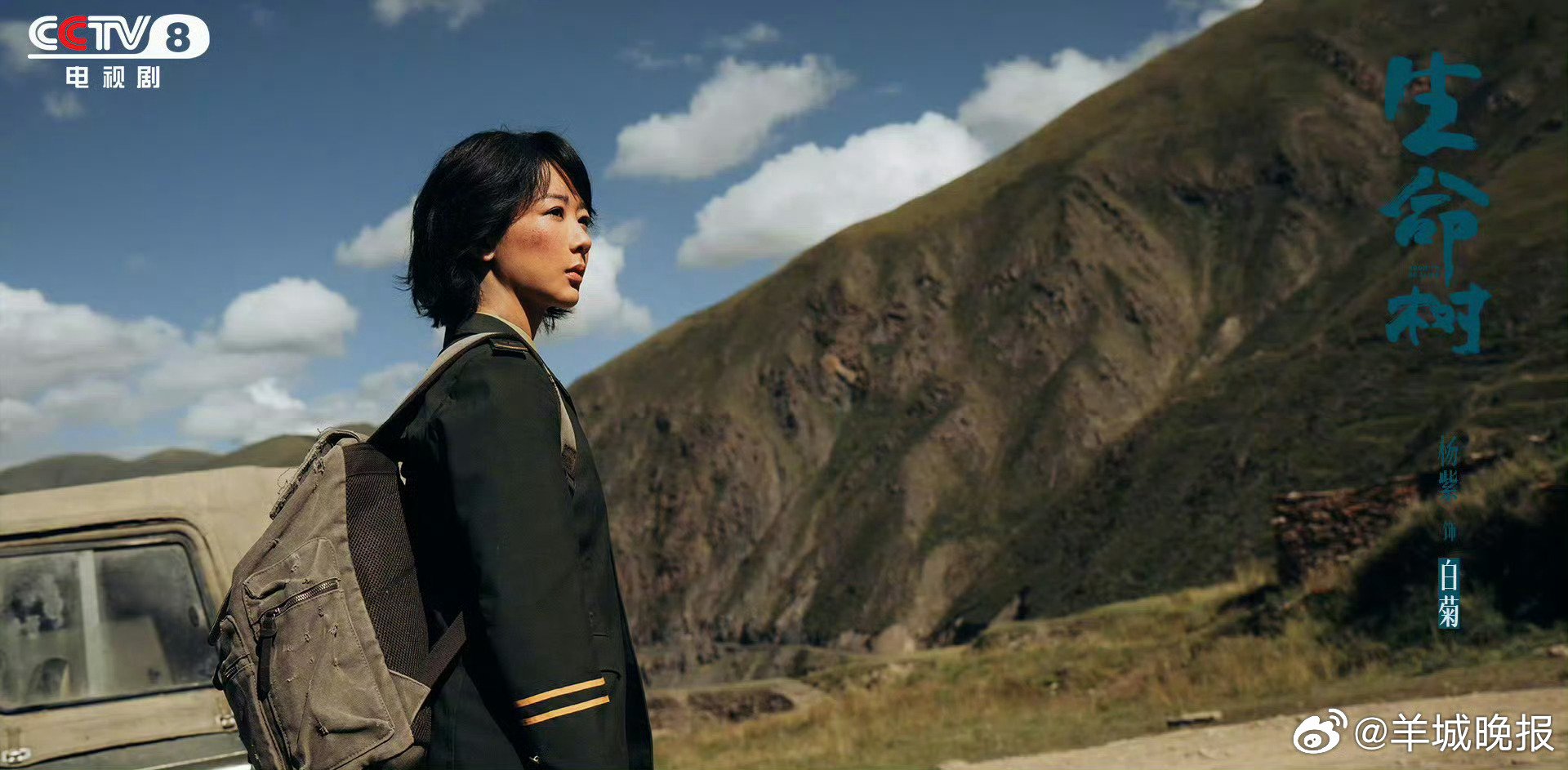 杨紫胡歌《生命树》等剧集引观众踏春热议