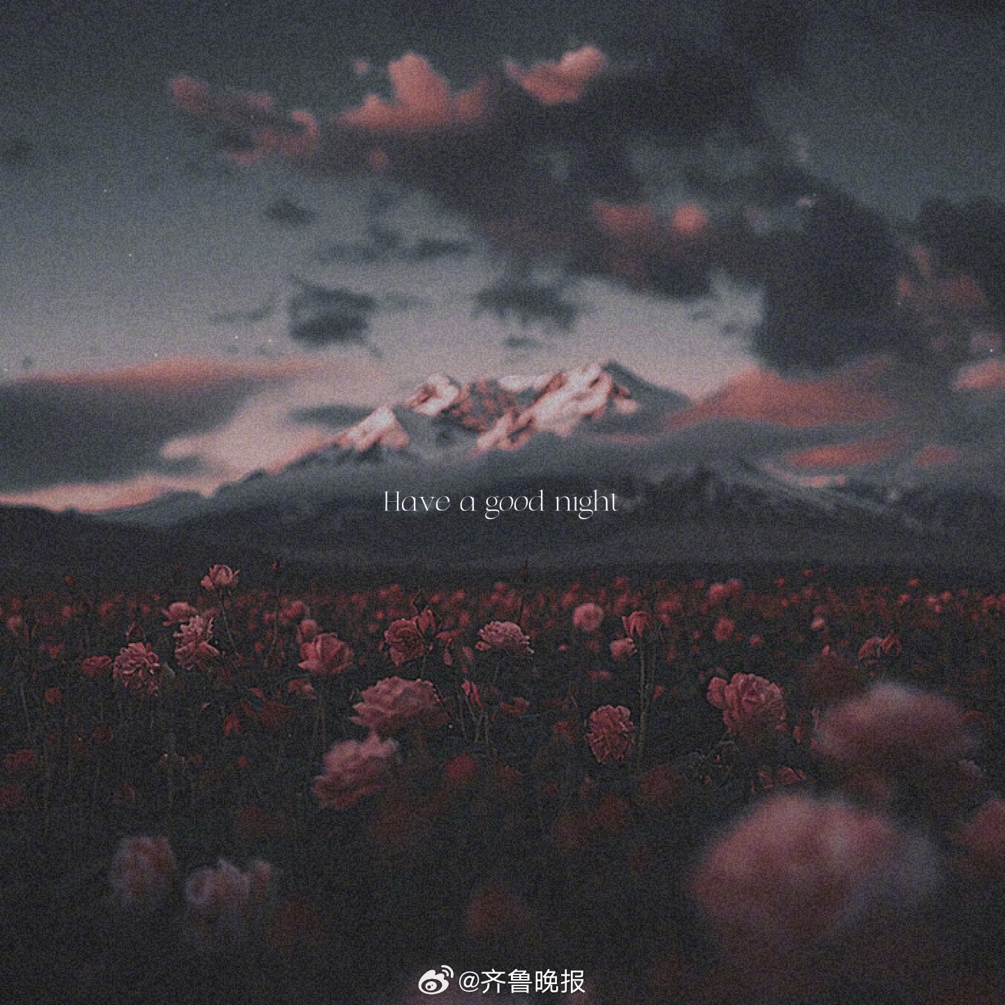 晚安祝福语愿你有个甜美的梦