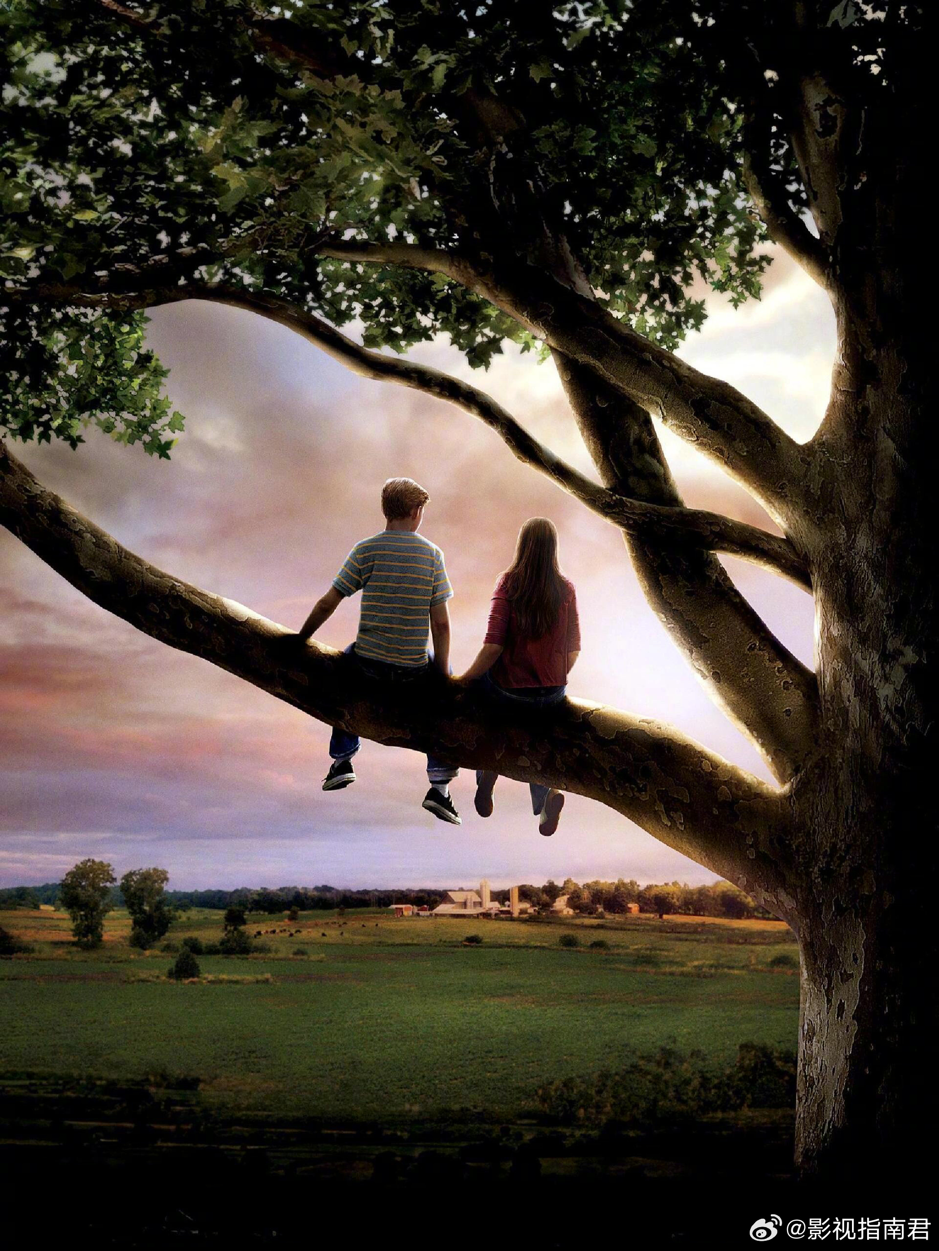 《怦然心动》双视角叙事展现初恋与成长蜕变