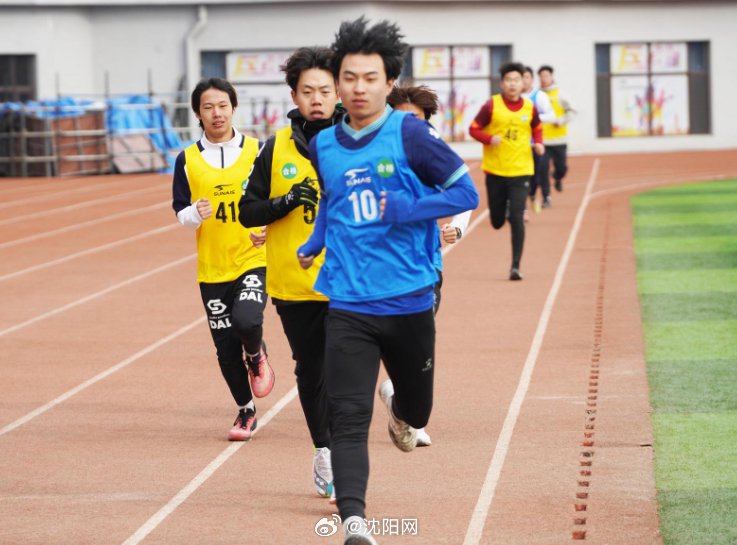 足球场区域划分详解，角球区罚球区功能明确