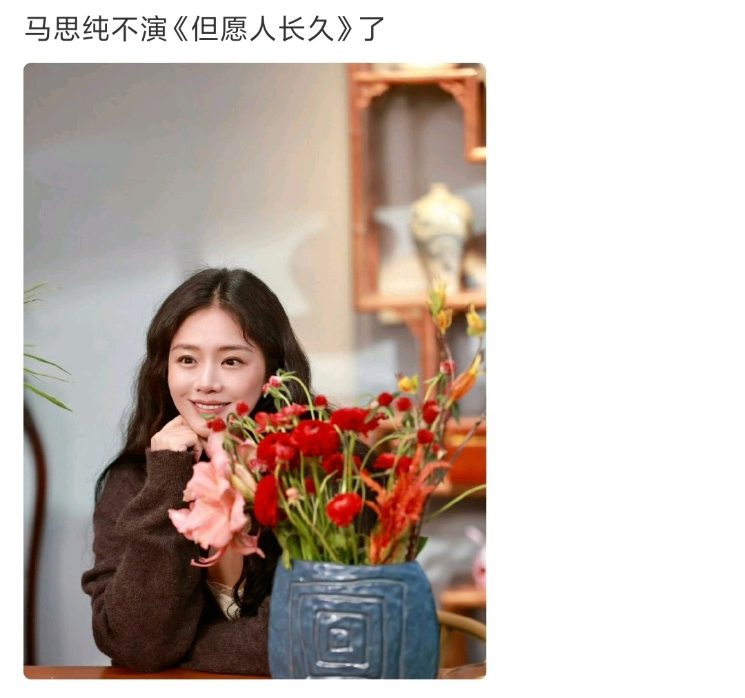 马思纯辞演但愿人长久，张晚意不合作