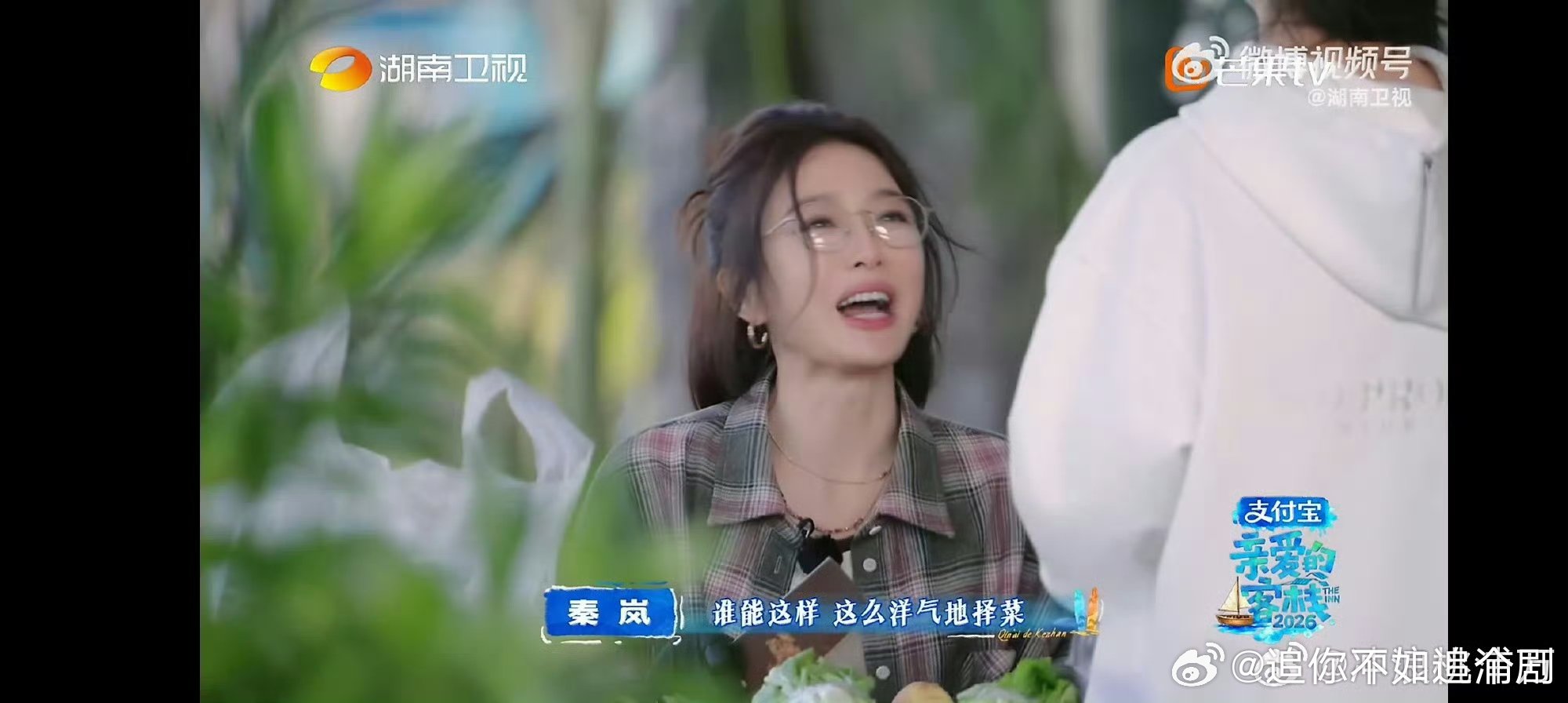 秦岚沈月择菜复刻请回答1988温柔日常