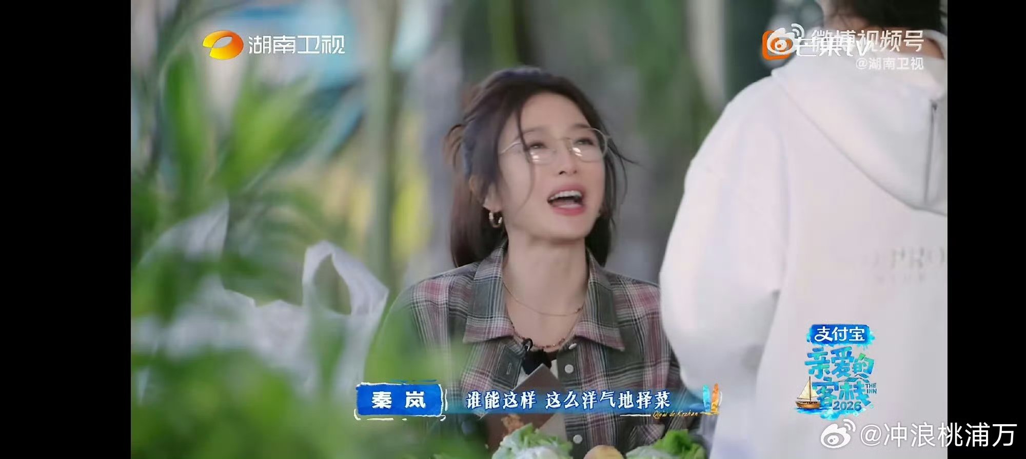 秦岚沈月择菜画面治愈，再现请回答1988风格