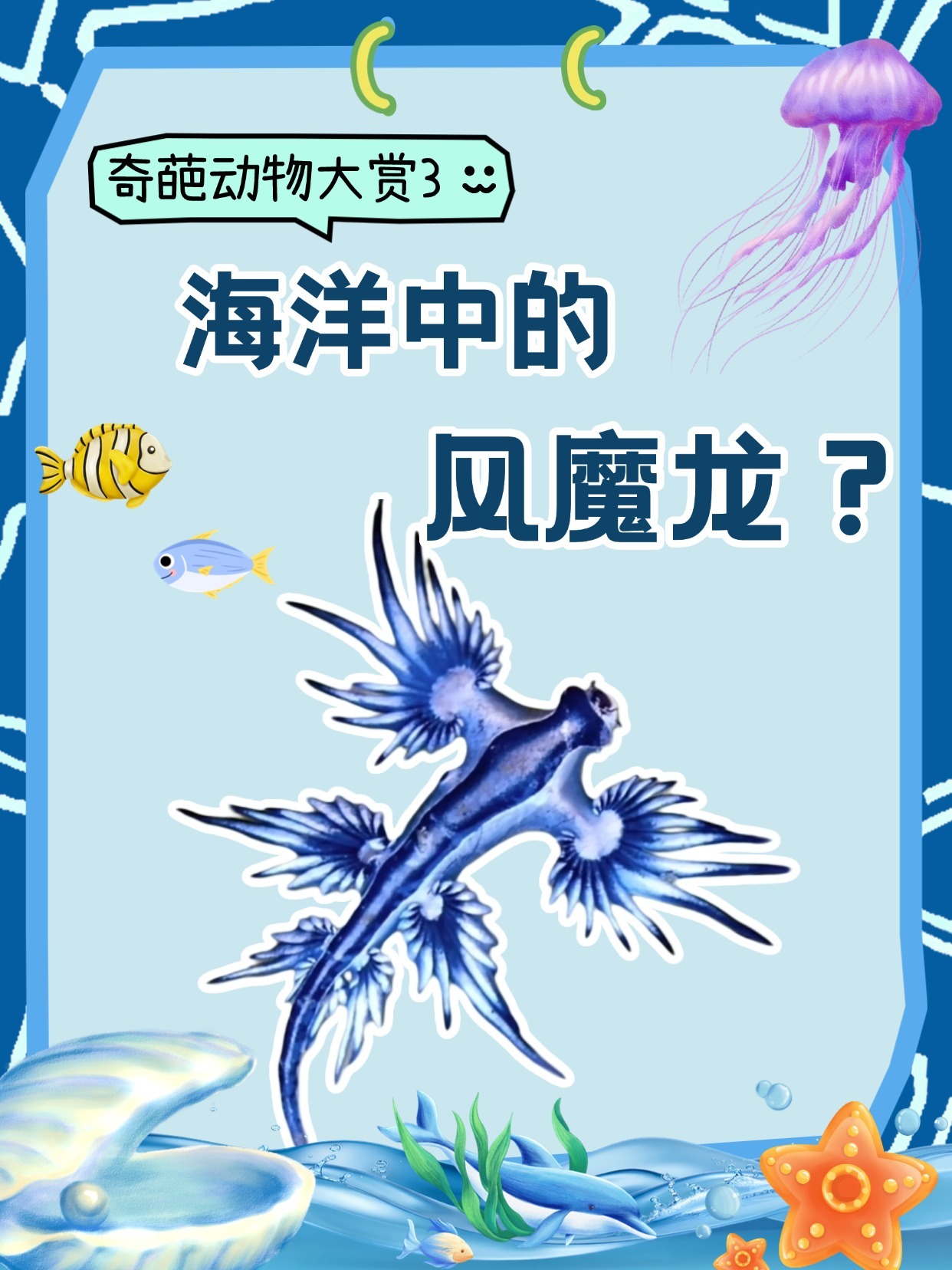 大西洋海神海蛞蝓揭秘，蓝天使实为海洋毒物