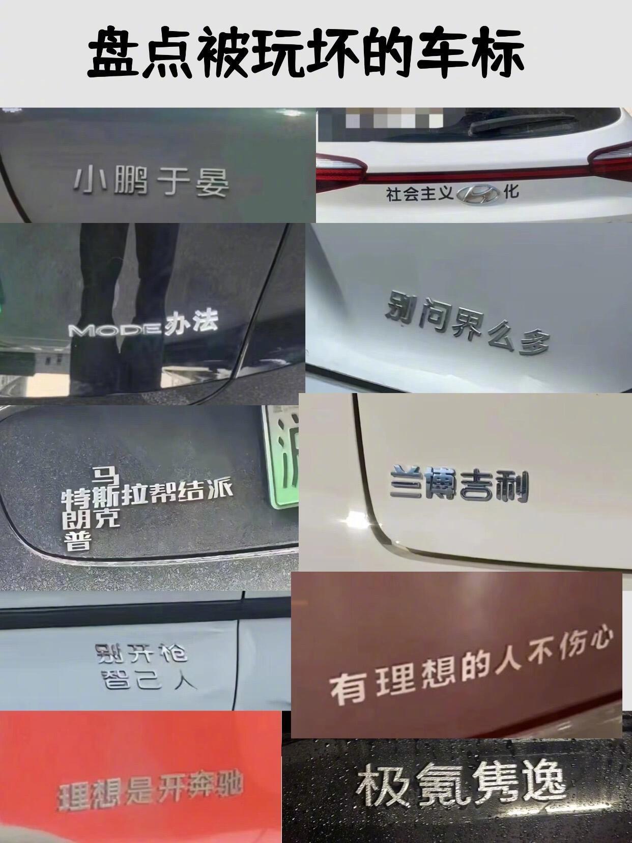 车友创意改装车标盘点