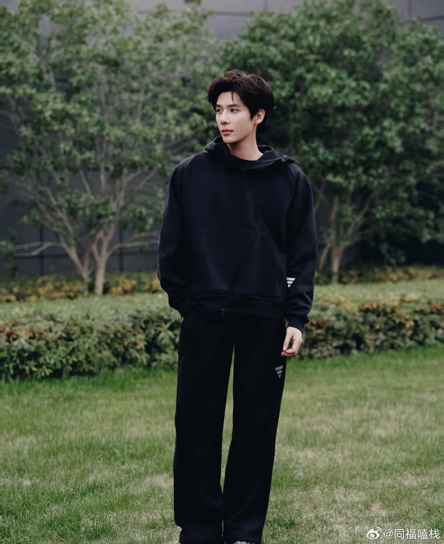 王安宇南方冬日在草地寻创作灵感