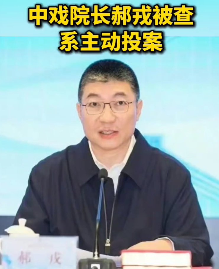 中戏院长郝戎被查,曾执教章子怡刘烨等明星班