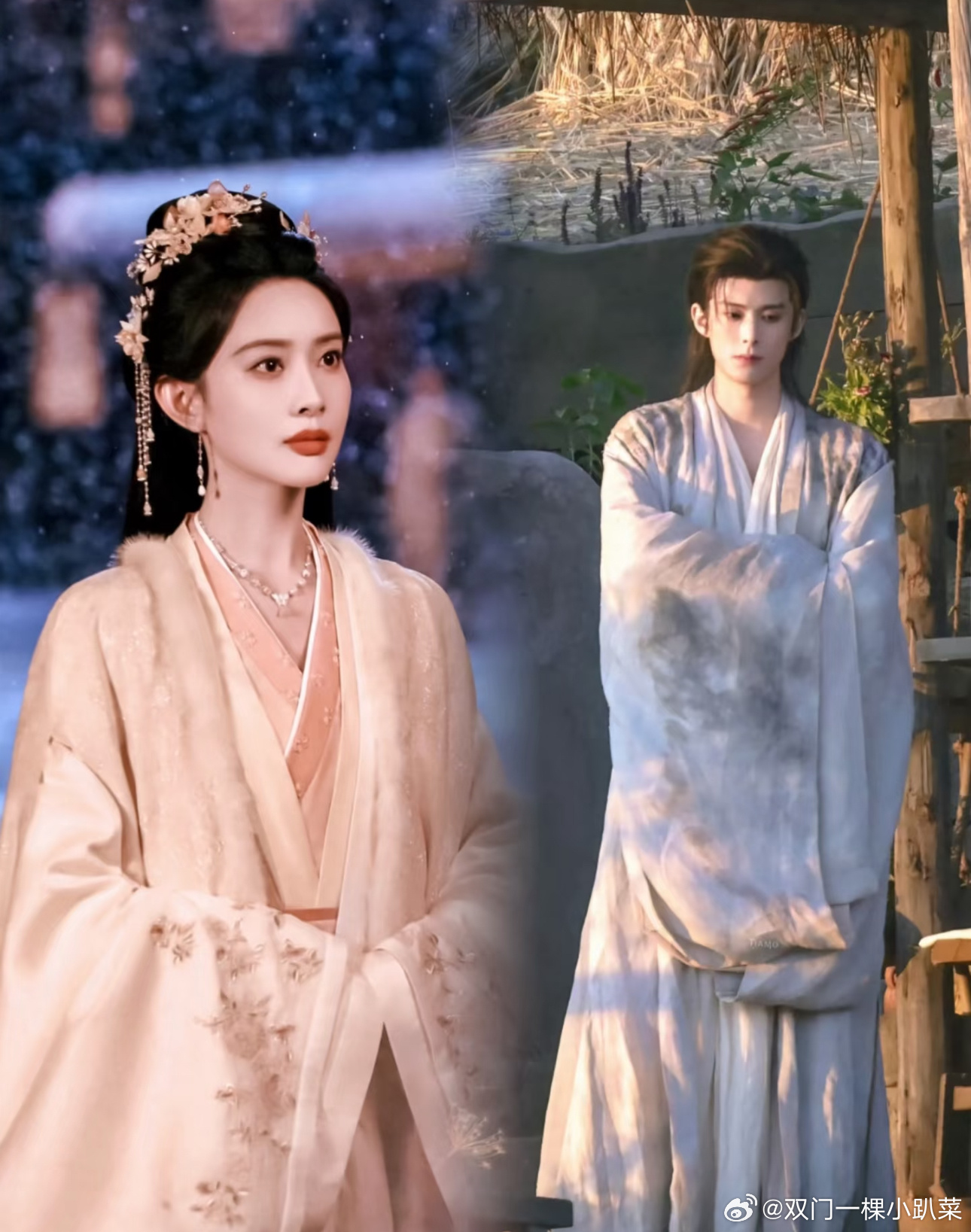 网传《将门毒后》主演阵容曝光，王鹤棣或任男主