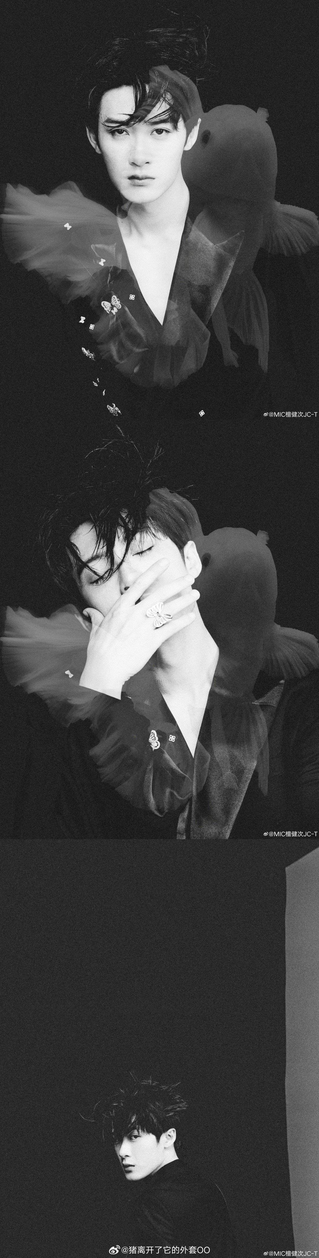 陈飞宇等九星亮相腾讯视频星光大赏红毯