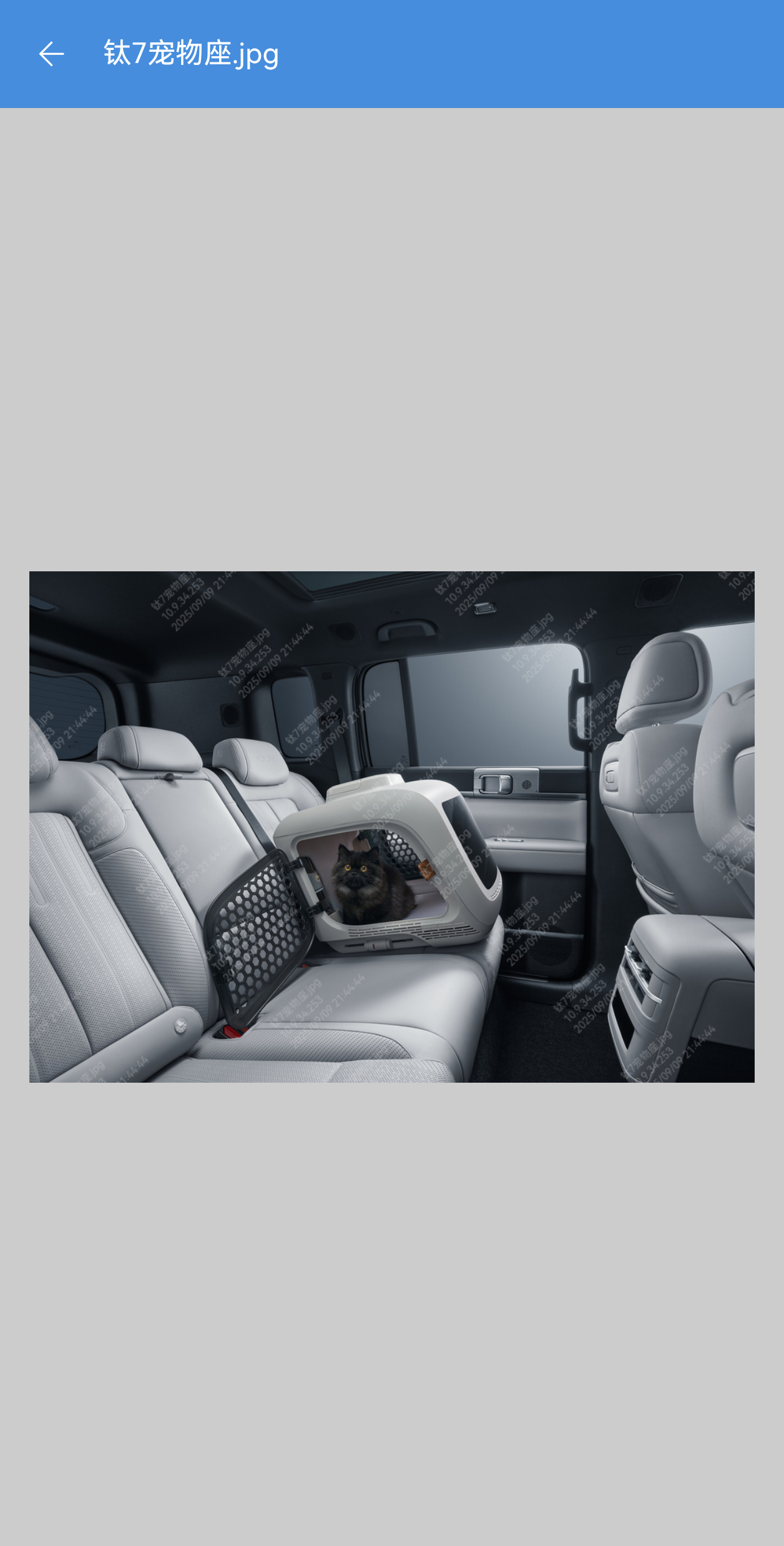 比亚迪方程豹钛7上市，空间大续航长配备宠物专座