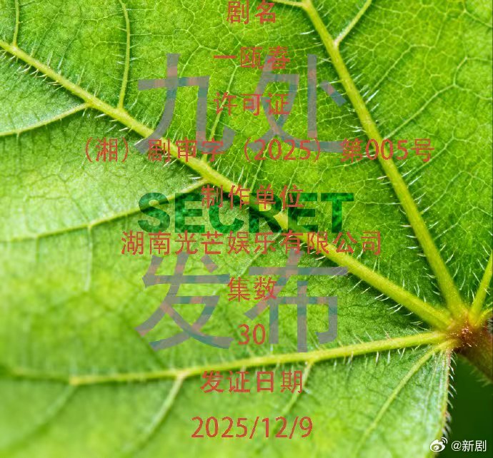 许凯周也《一瓯春》正式过审下证