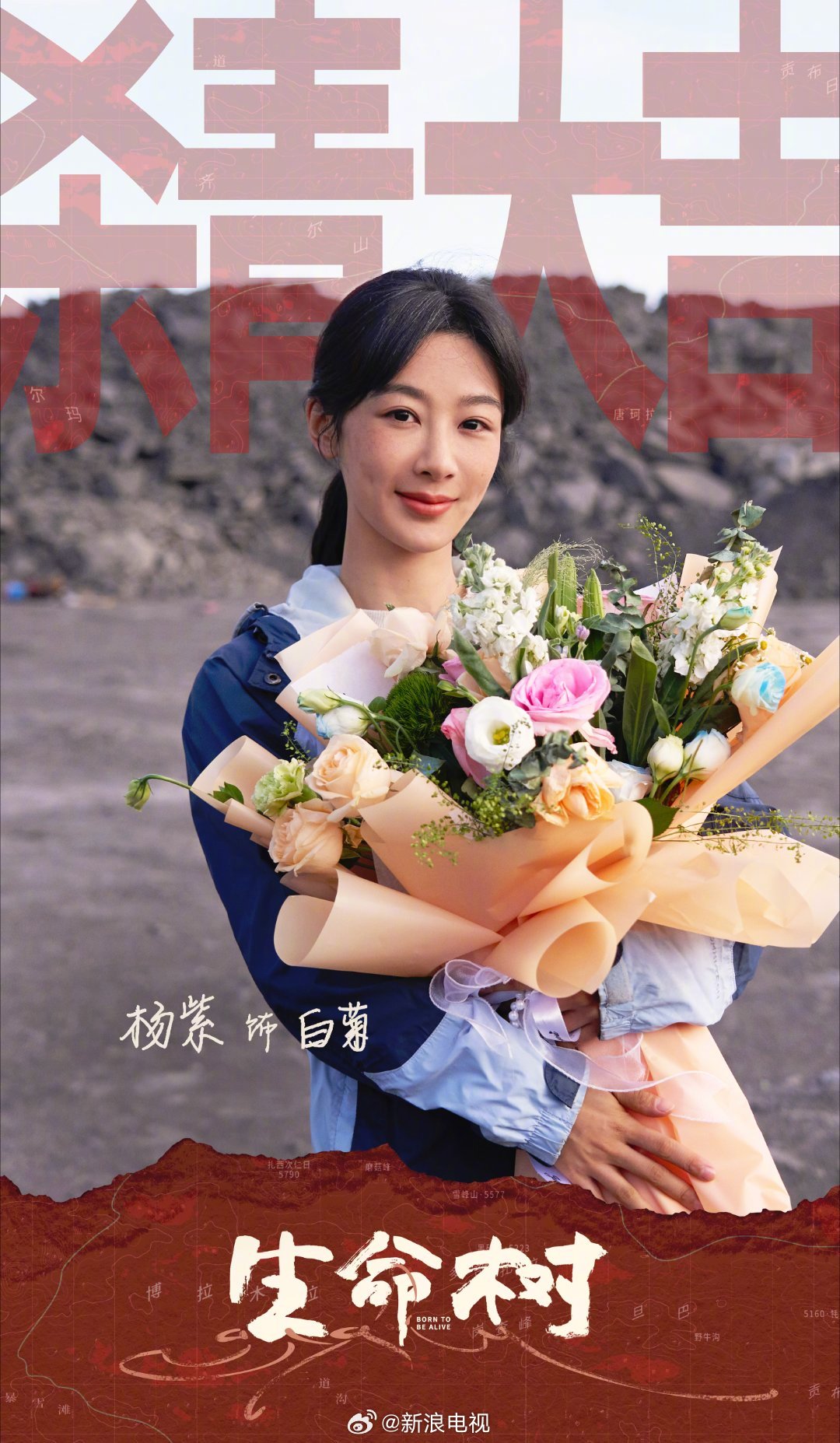 杨紫胡歌主演生命树杀青，主创晒照期待重逢