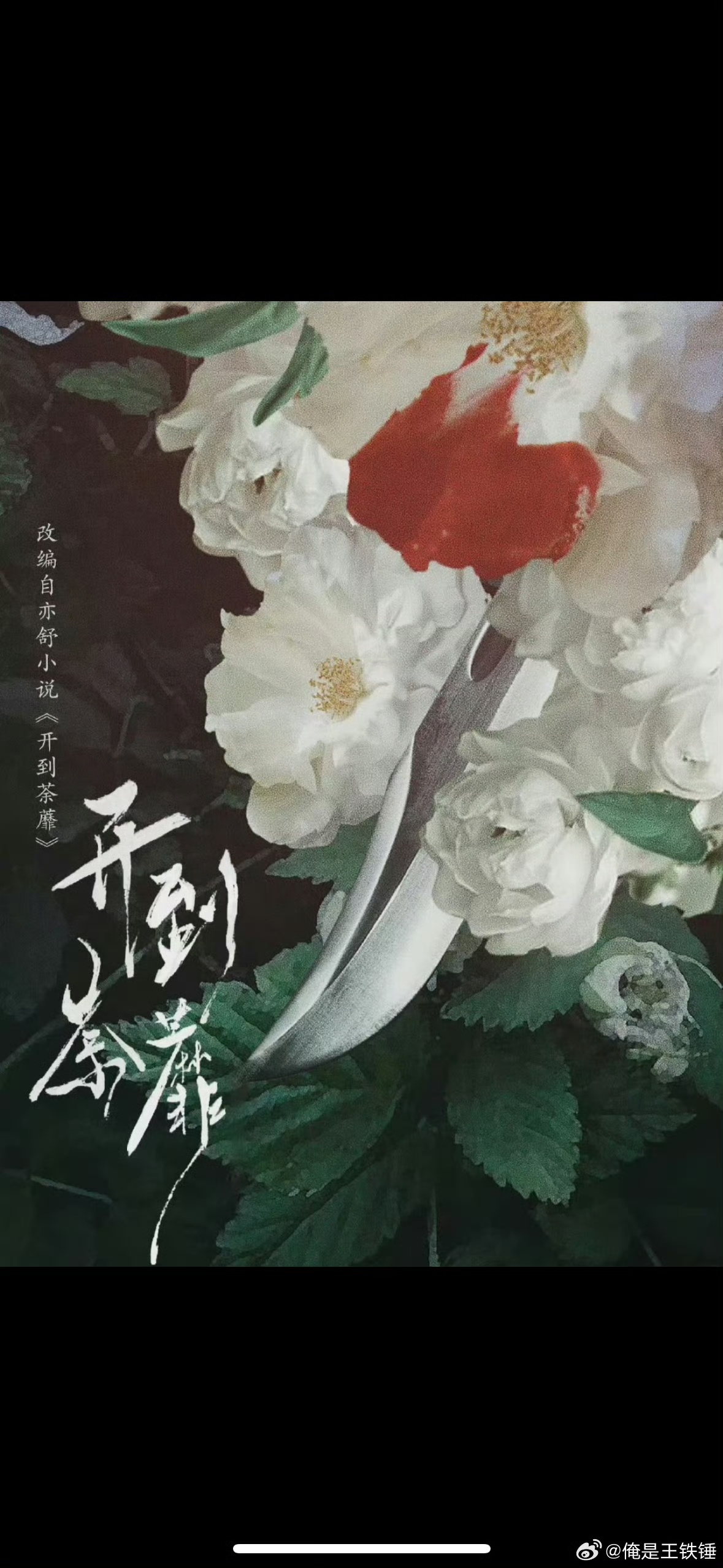 白鹿何与或演开到荼靡，男主待定