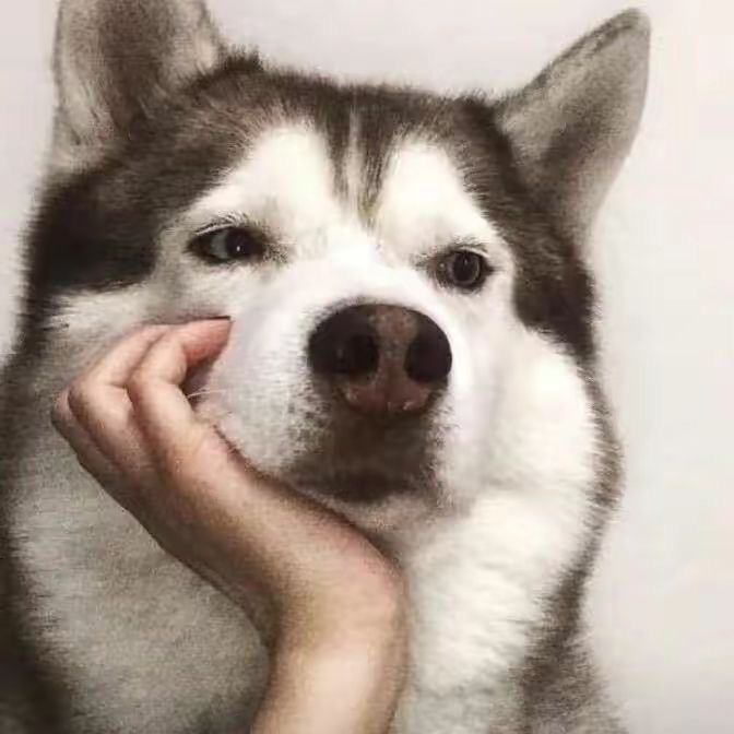 智界V9内饰首次曝光，搭载旋转座椅