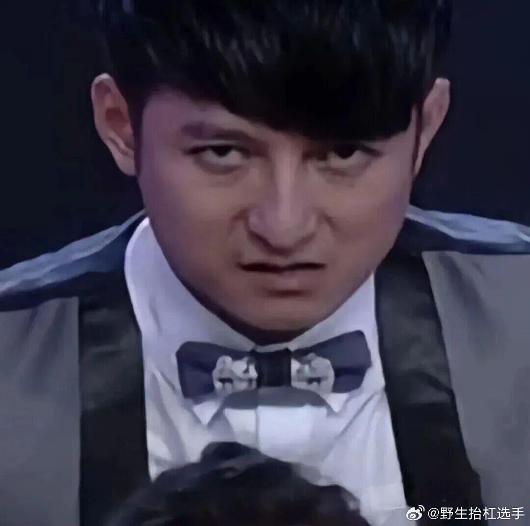 维嘉荷兰弟容貌高度相似引热议