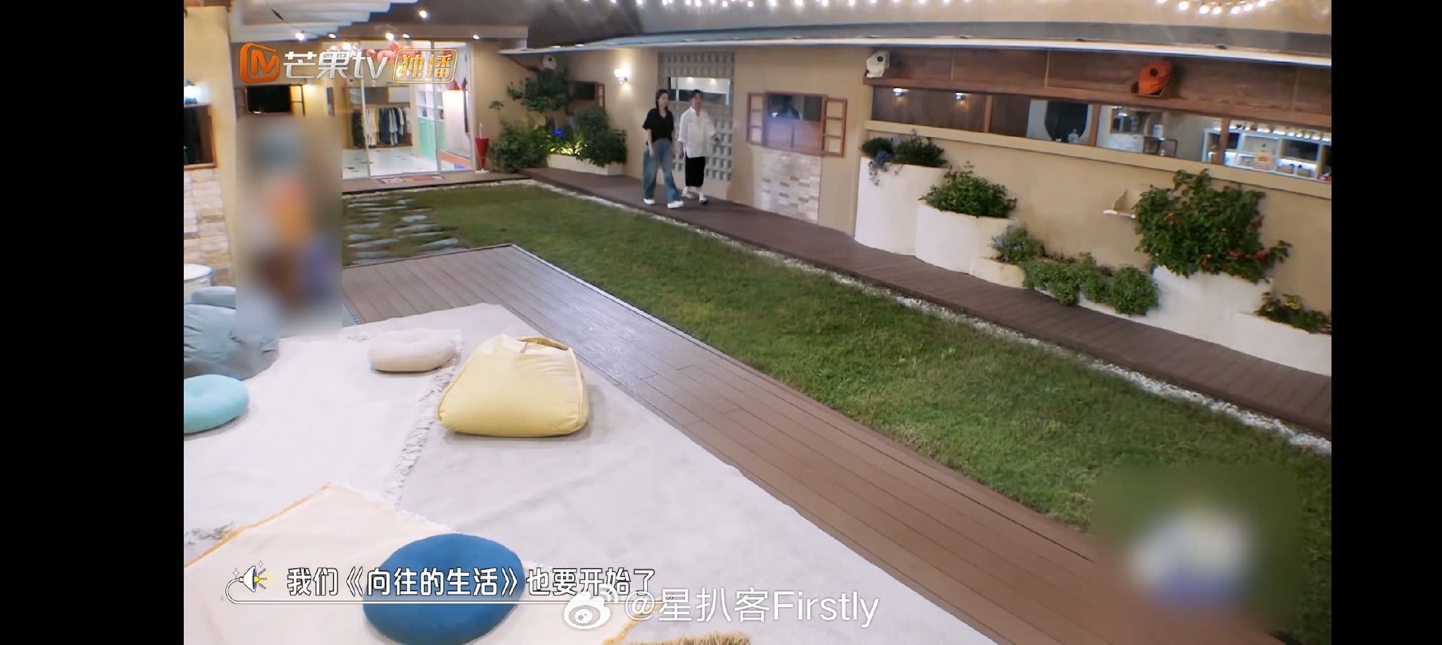 何炅官宣向往的生活录制携宠物小O小H加盟