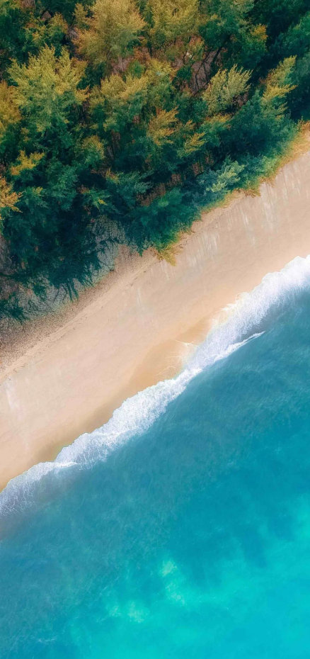 文艺咖啡馆午后时光静谧美好