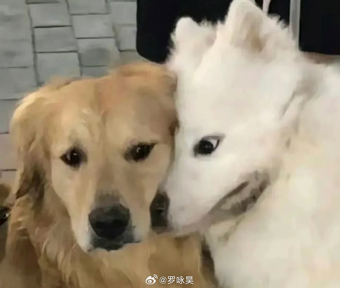 张常宁用南京话为苏超南京队加油