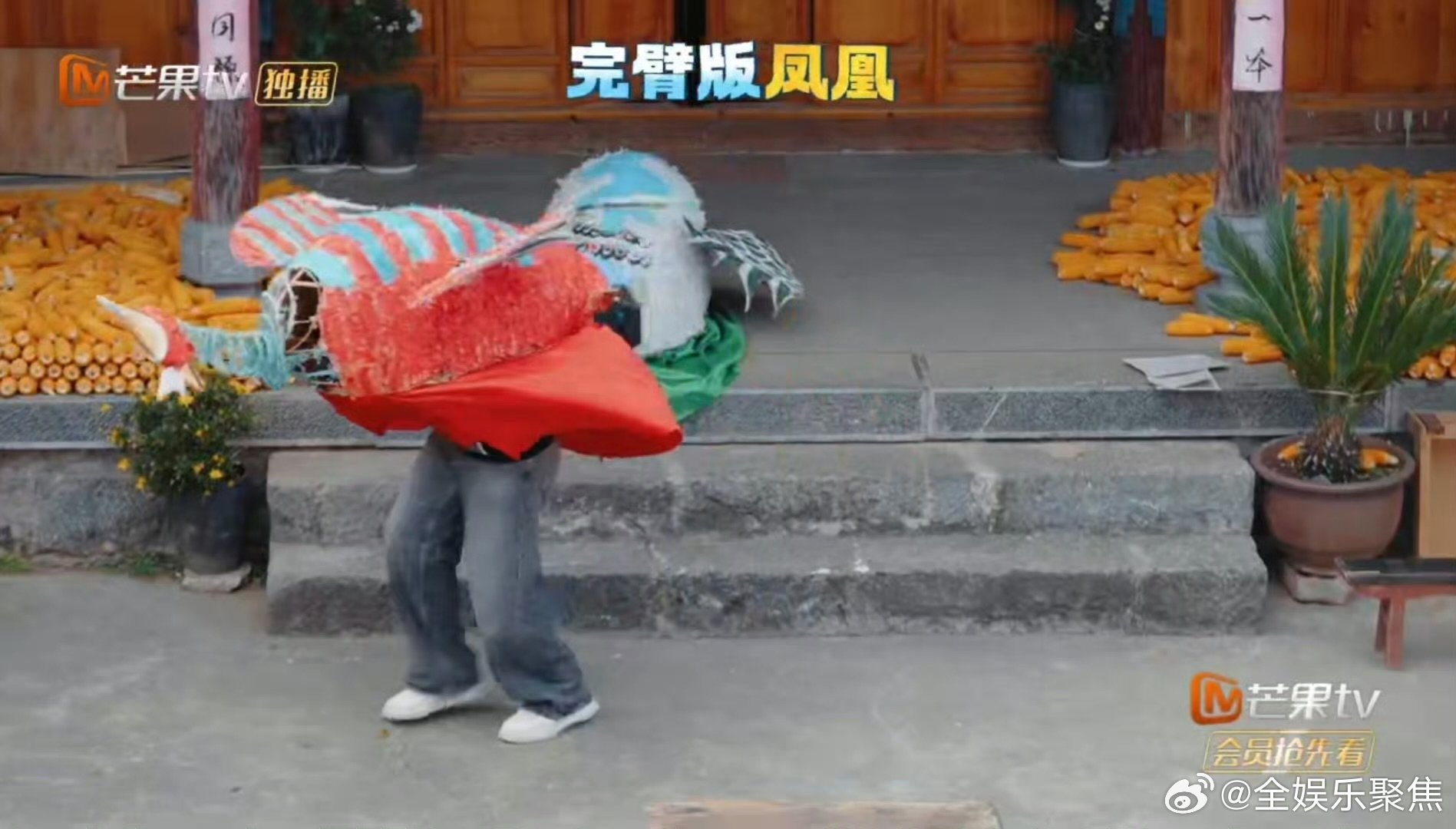 沈梦辰助海涛妈妈成功追星