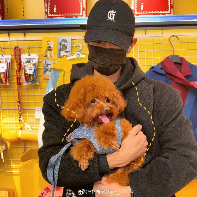 李沛恩发布九宫格plog，阳光主题吸睛