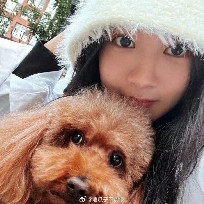 杨紫更换头像晒与piupiu合照