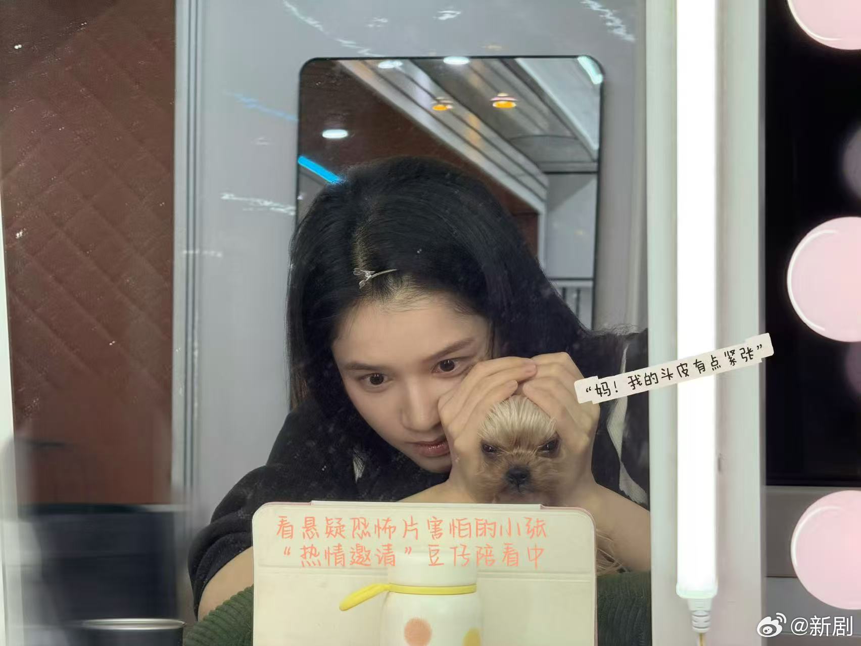 张婧仪与豆仔同看悬疑恐怖片