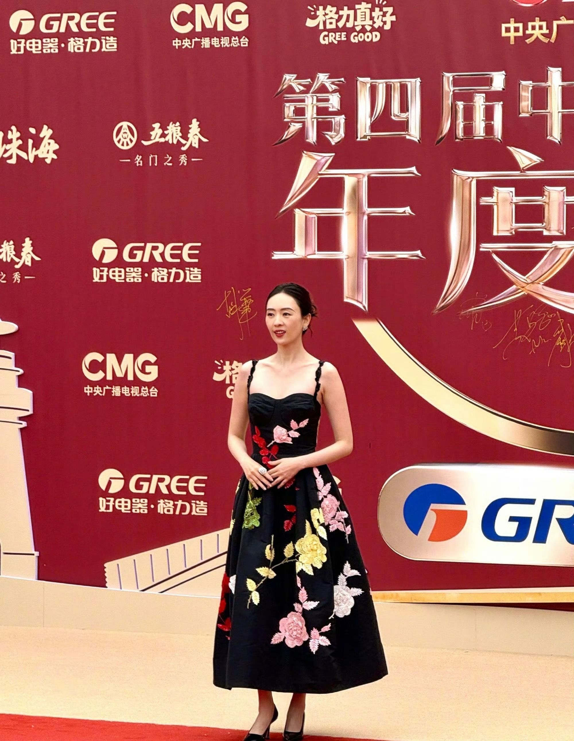 中国电视剧年度盛典红毯生图曝光，高圆圆张鲁一孙俪等亮相