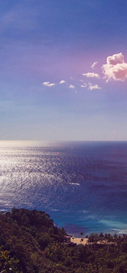 友情是人生港湾，真诚关怀温暖心灵