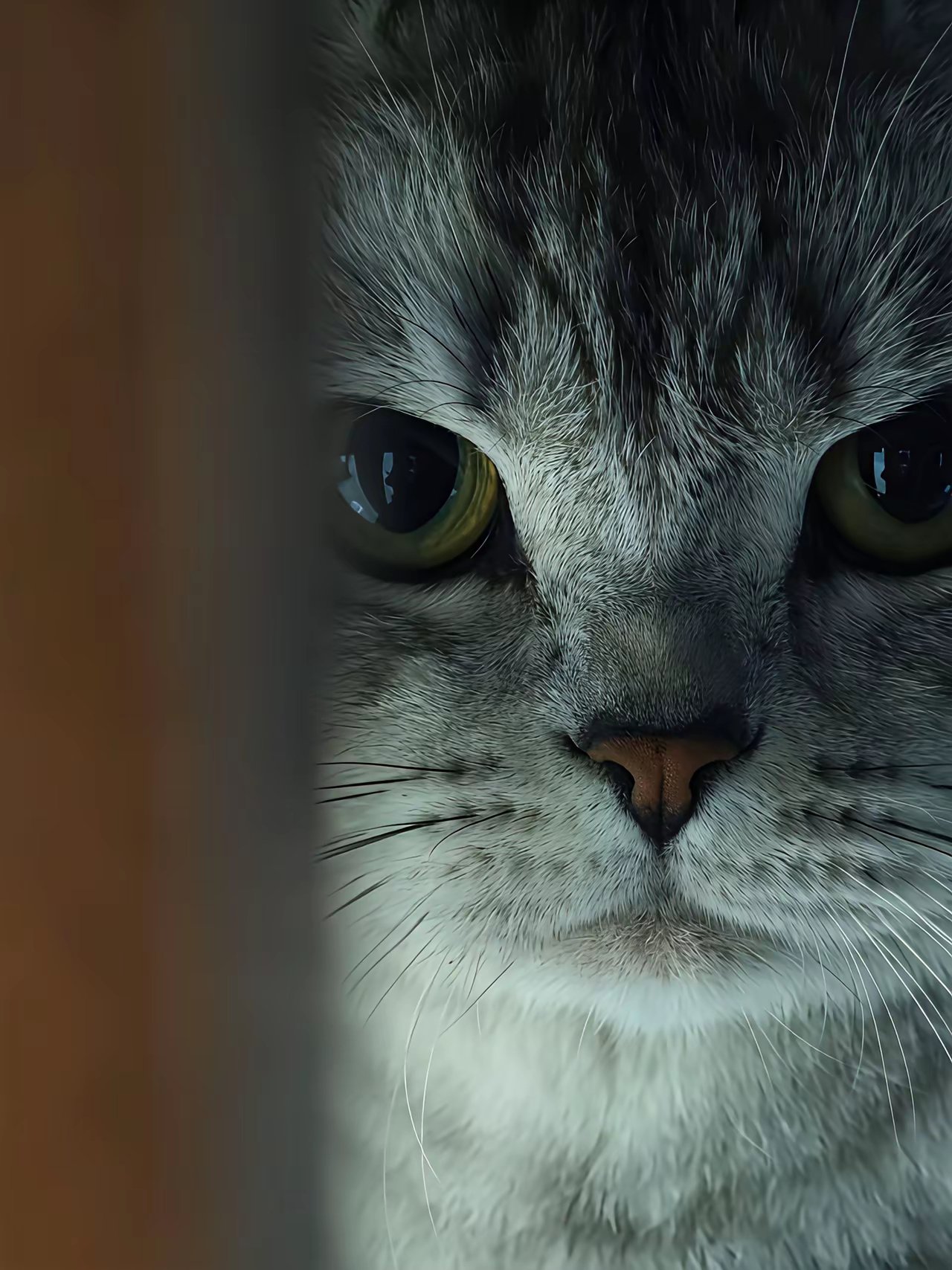 智界V9辉光紫外观命名官宣，紫色内饰首曝光