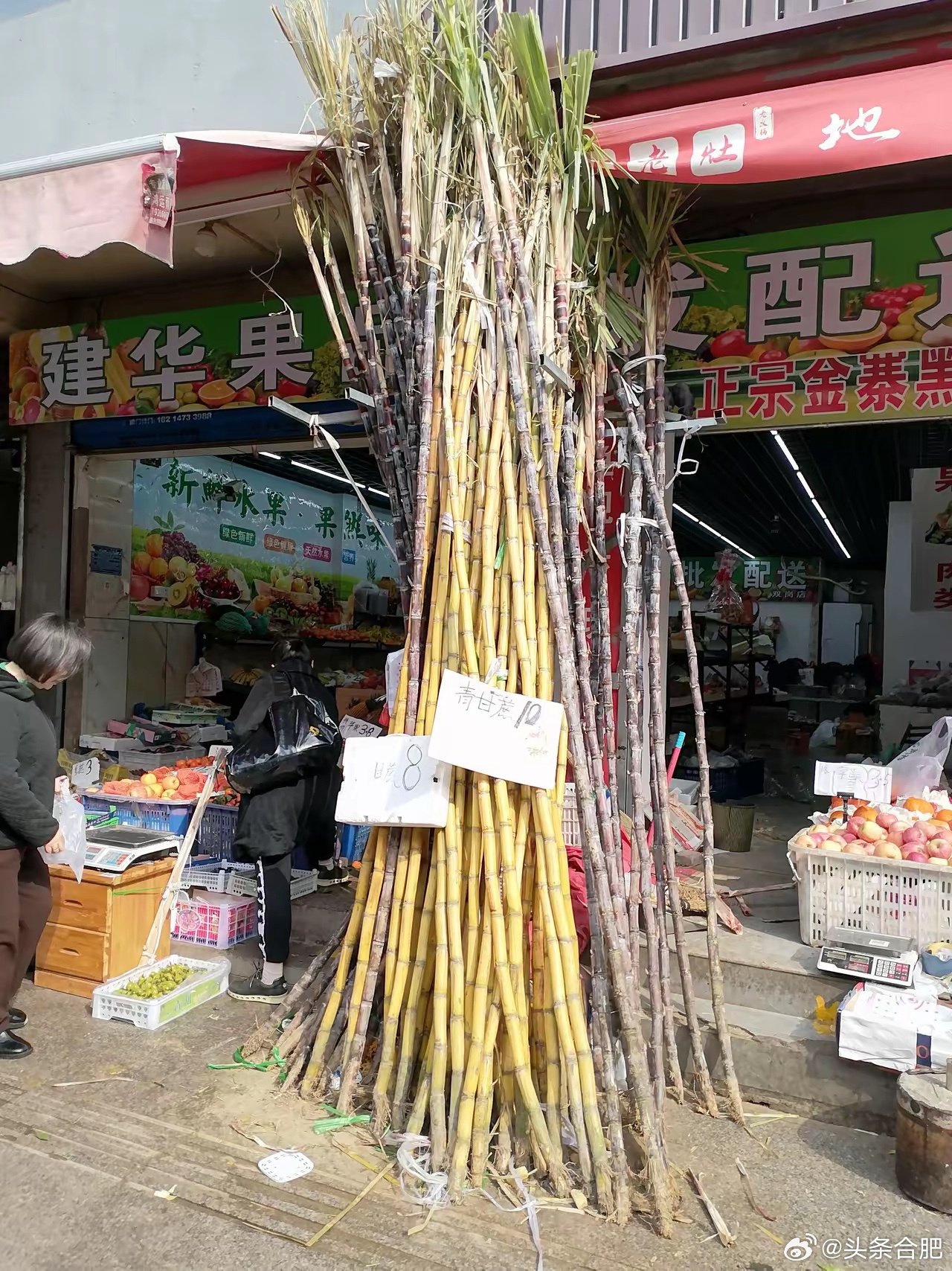 合肥甘蔗价格大幅下跌，云南白蔗10元广西红蔗8元