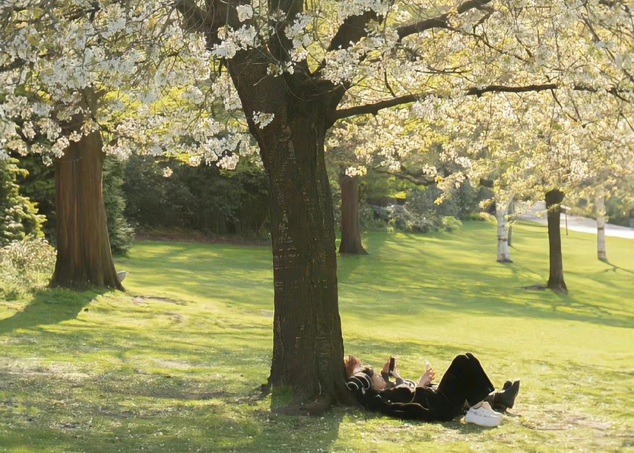林志颖谈幸福观：发自内心的幸福和健康最珍贵