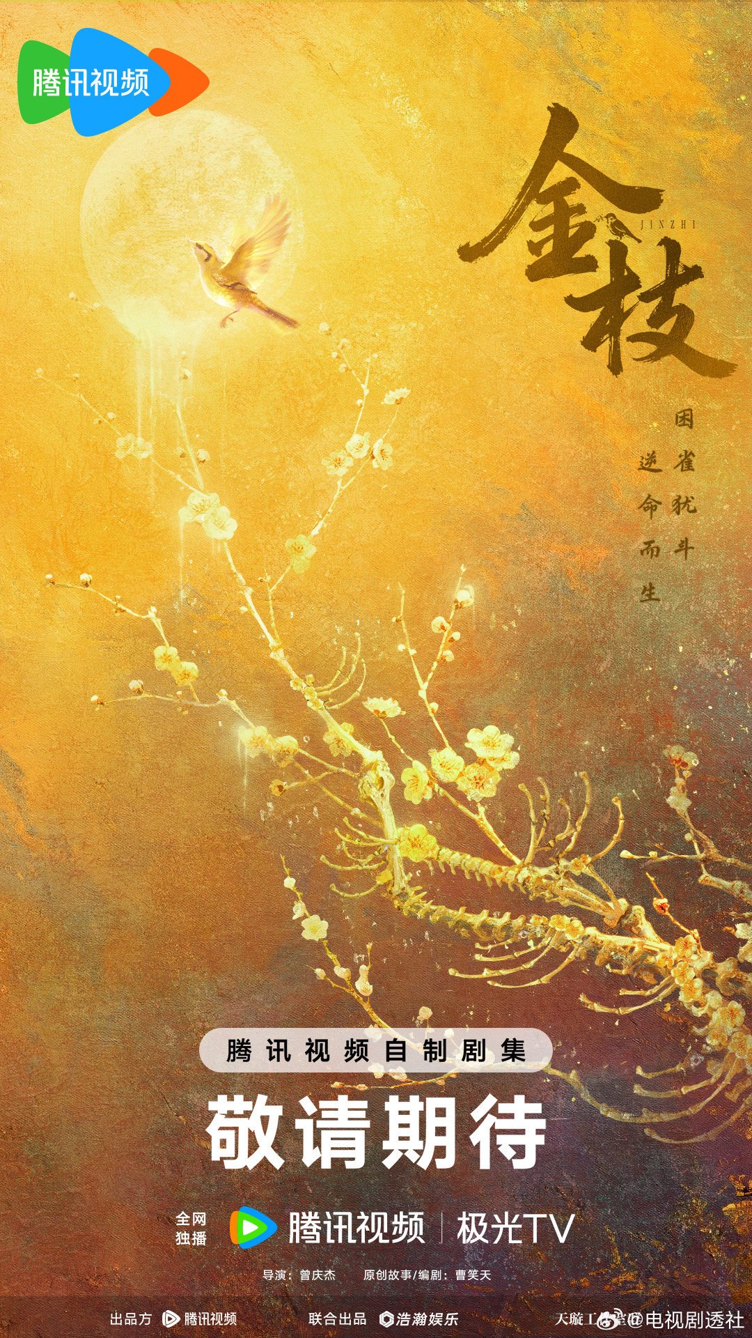 古装剧《金枝》开机，李一桐陈星旭主演王弘毅演男二