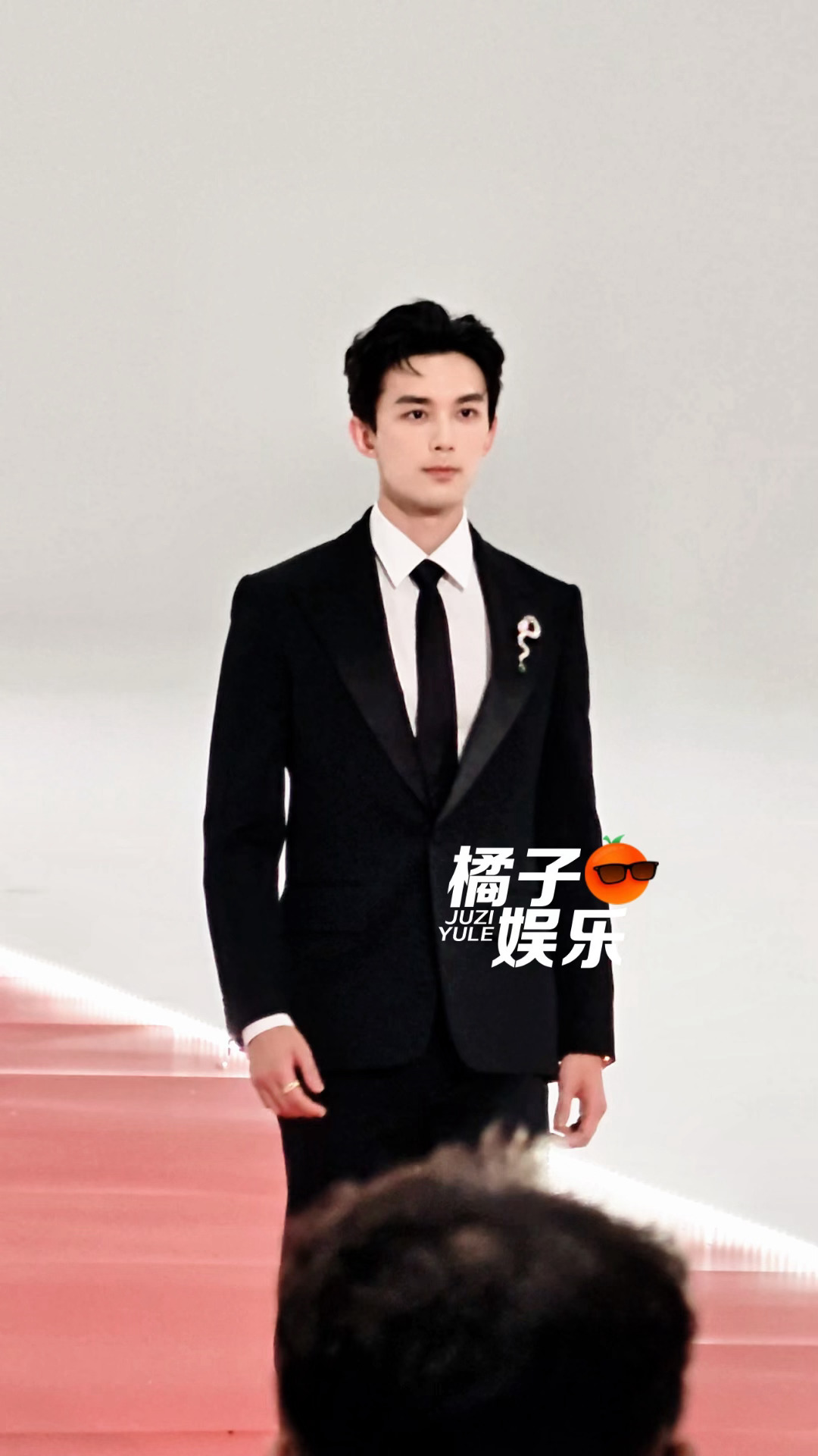 吴磊亮相星光大赏红毯被赞体制内老公